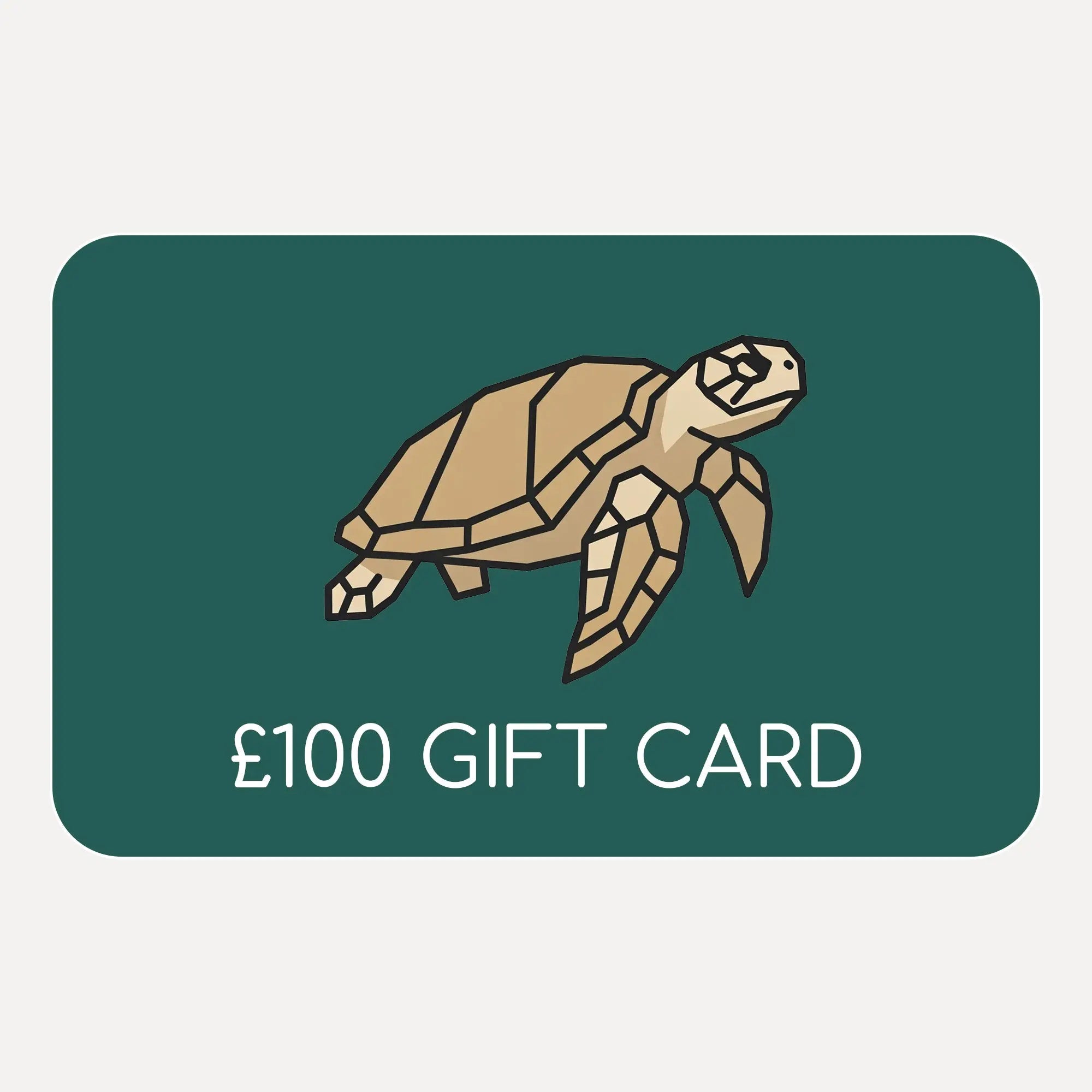Cube Packer Gift card with a turtle illustration and £100 value 