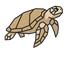 Cube Packer logo of a turtle with Cube Packer written underneath